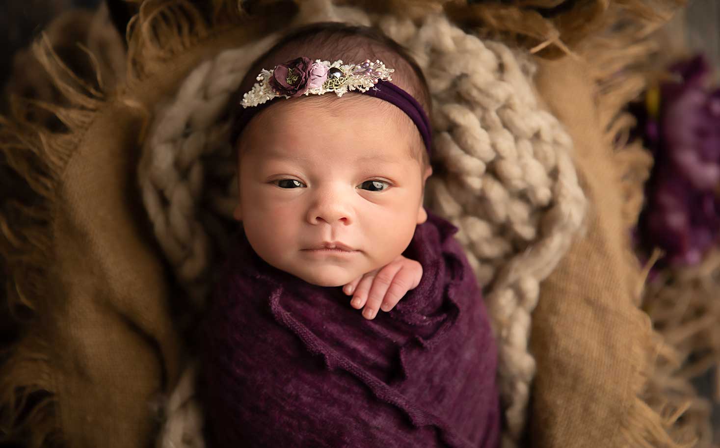 princess newborn photography