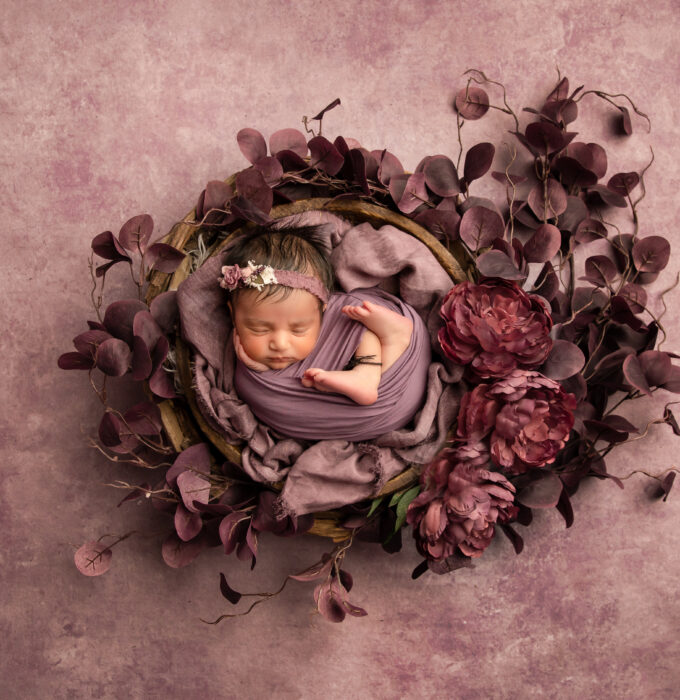 newborn photographer surprise arizona